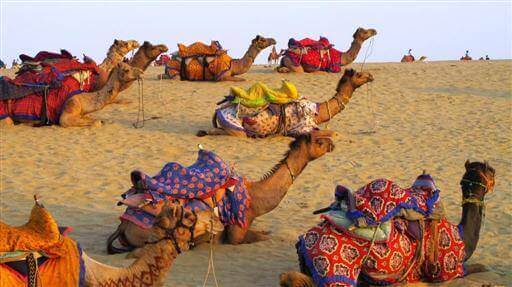Desert And Culture Of Rajasthan