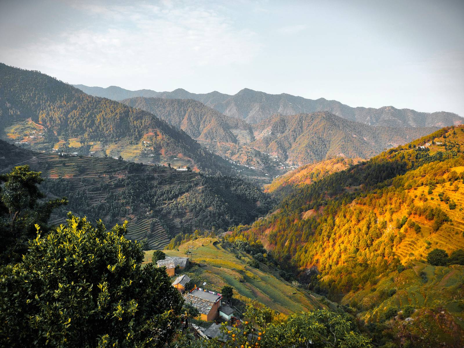 Auli valley views