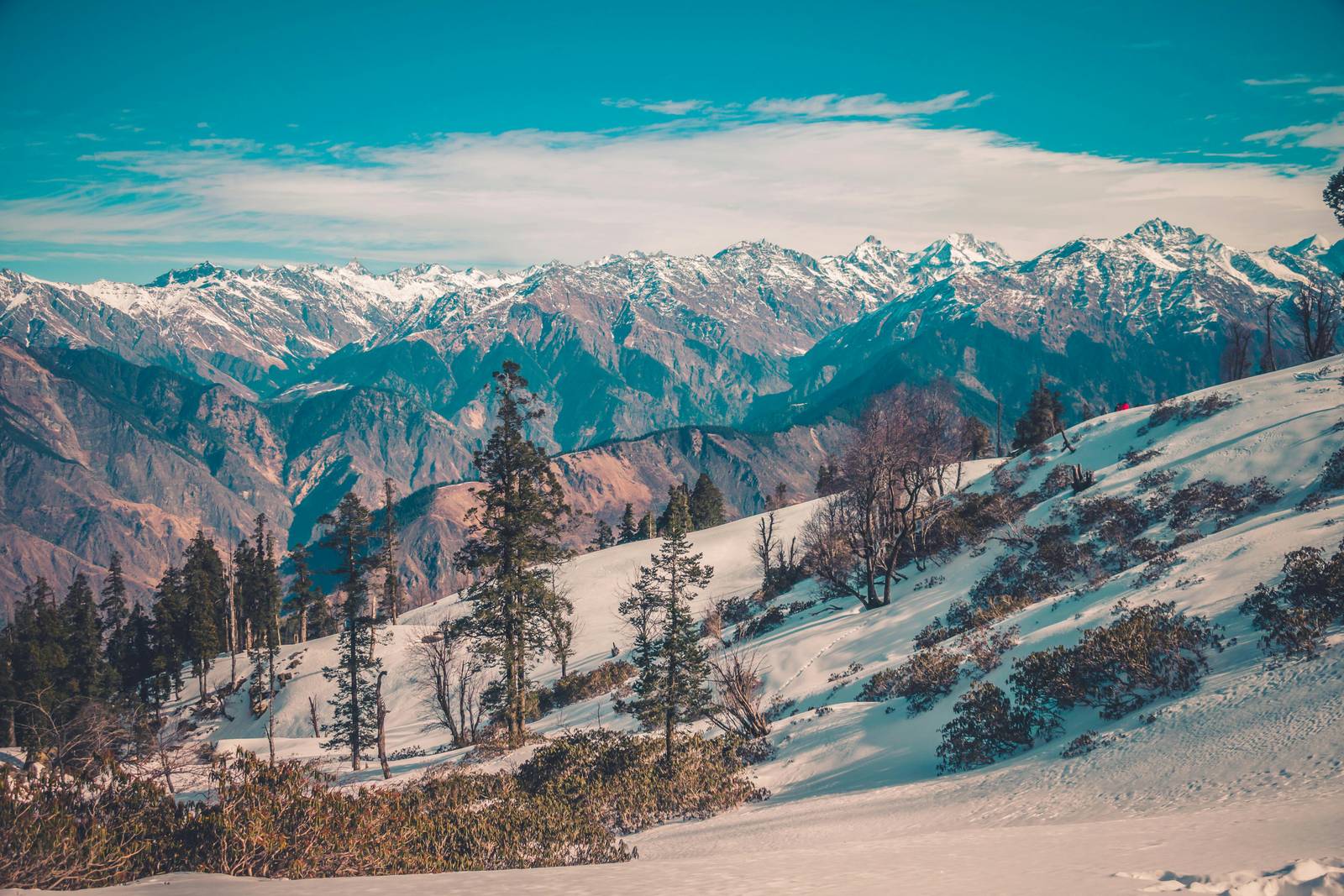 Auli snow mountains